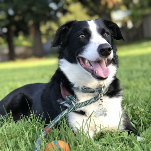 Fundraising Page: Cynthia Rinehart